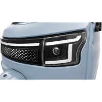 Elektro Dreirad 3000W – Elektrisches Transport-Dreirad