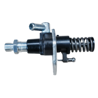 Einspritzpumpe Kraftstoffpumpe für 192F 195F Dieselmoto