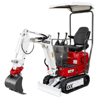 AGROX Austria Edition X-06 Benzin-Minibagger 640 kg mit Scha