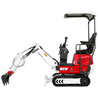AGROX Austria Edition X-06 Benzin-Minibagger 640 kg mit Scha