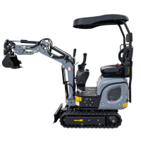 AGROX XN06 Minibagger mit B&S-Motor und 5 Anbaugerä